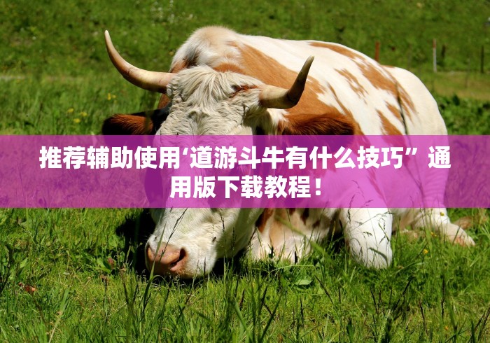 推荐辅助使用‘道游斗牛有什么技巧”通用版下载教程！