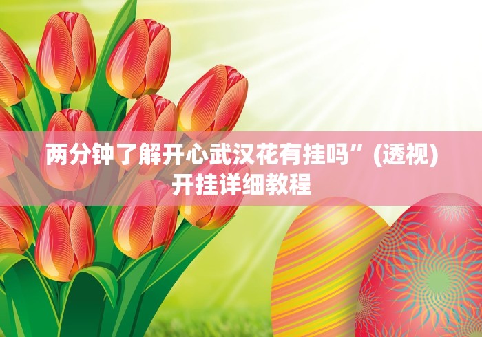 两分钟了解开心武汉花有挂吗”(透视)开挂详细教程