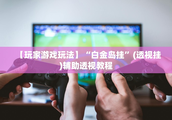 【玩家游戏玩法】“白金岛挂	”(透视挂)辅助透视教程