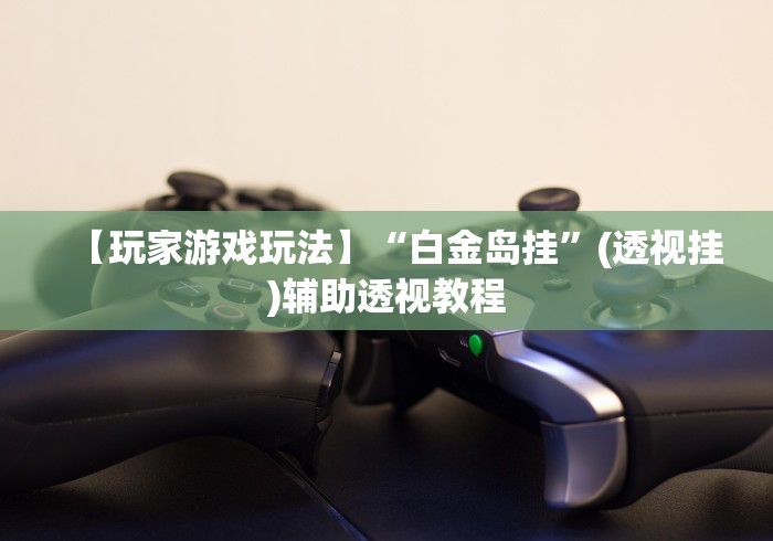 【玩家游戏玩法】“白金岛挂”(透视挂)辅助透视教程