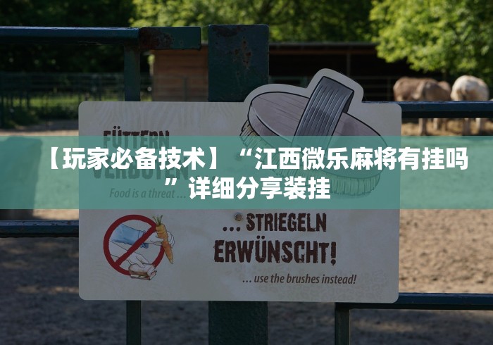 【玩家必备技术】“江西微乐麻将有挂吗	”详细分享装挂