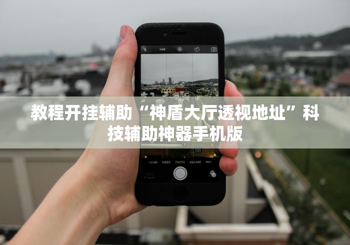 教程开挂辅助“神盾大厅透视地址”科技辅助神器手机版