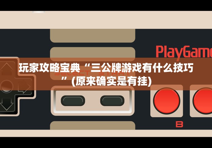 玩家攻略宝典“三公牌游戏有什么技巧”(原来确实是有挂)