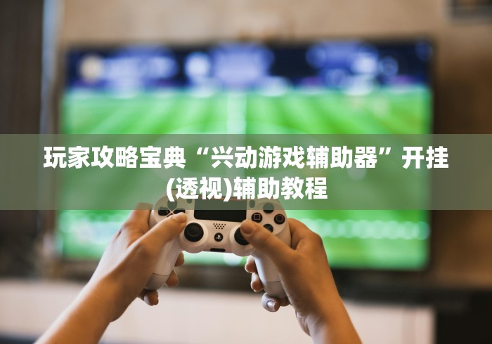 玩家攻略宝典“兴动游戏辅助器	”开挂(透视)辅助教程