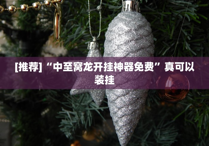 [推荐]“中至窝龙开挂神器免费”真可以装挂