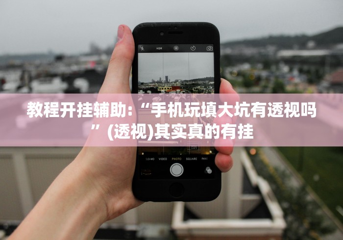 教程开挂辅助:“手机玩填大坑有透视吗”(透视)其实真的有挂