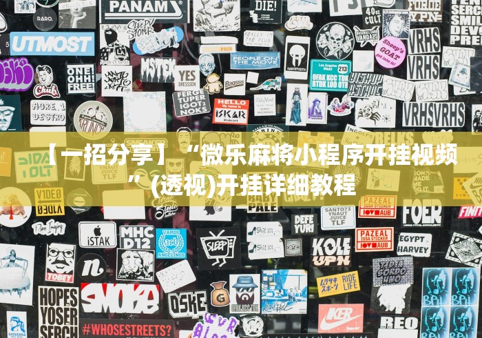 【一招分享】“微乐麻将小程序开挂视频	”(透视)开挂详细教程