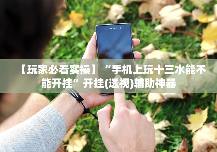 【玩家必看实操】“手机上玩十三水能不能开挂”开挂(透视)辅助神器