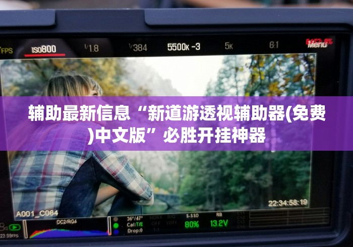 辅助最新信息“新道游透视辅助器(免费)中文版”必胜开挂神器